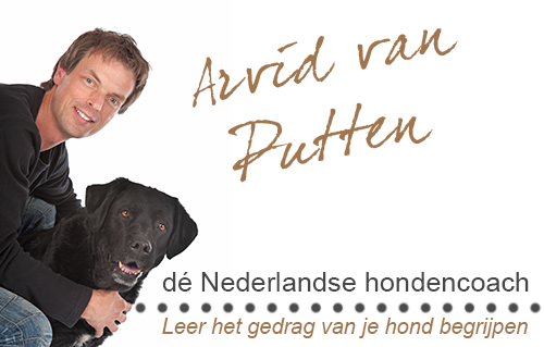 Partner Arvid van Putten